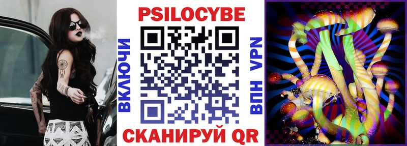 купить  цена  Шелехов  Псилоцибиновые грибы GOLDEN TEACHER 